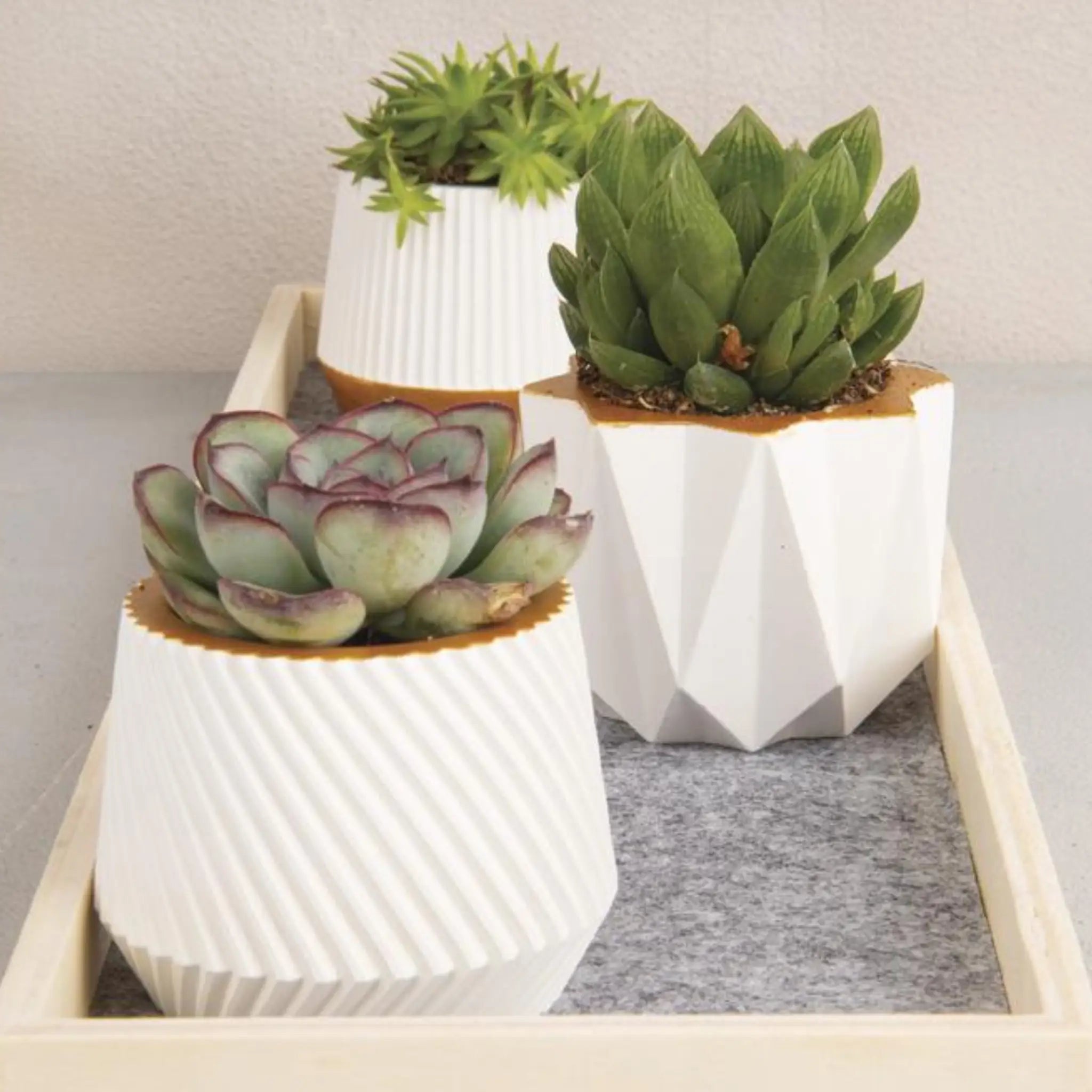 Silikon Gießform Töpfchen 3-teilig | BeG